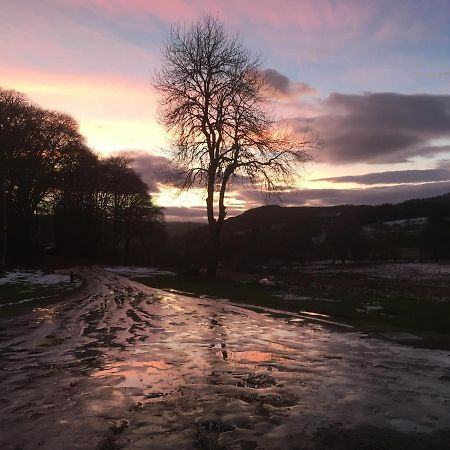 Beautiful Highland 1-Bed Cottage Inverness Extérieur photo